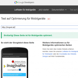 Wie reiht Google Websites?
