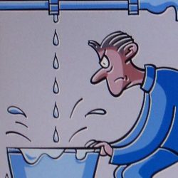 Sie sind Profi auf Ihrem Gebiet - wieviel Zeit verlieren Sie wegen EDV-Problemen?